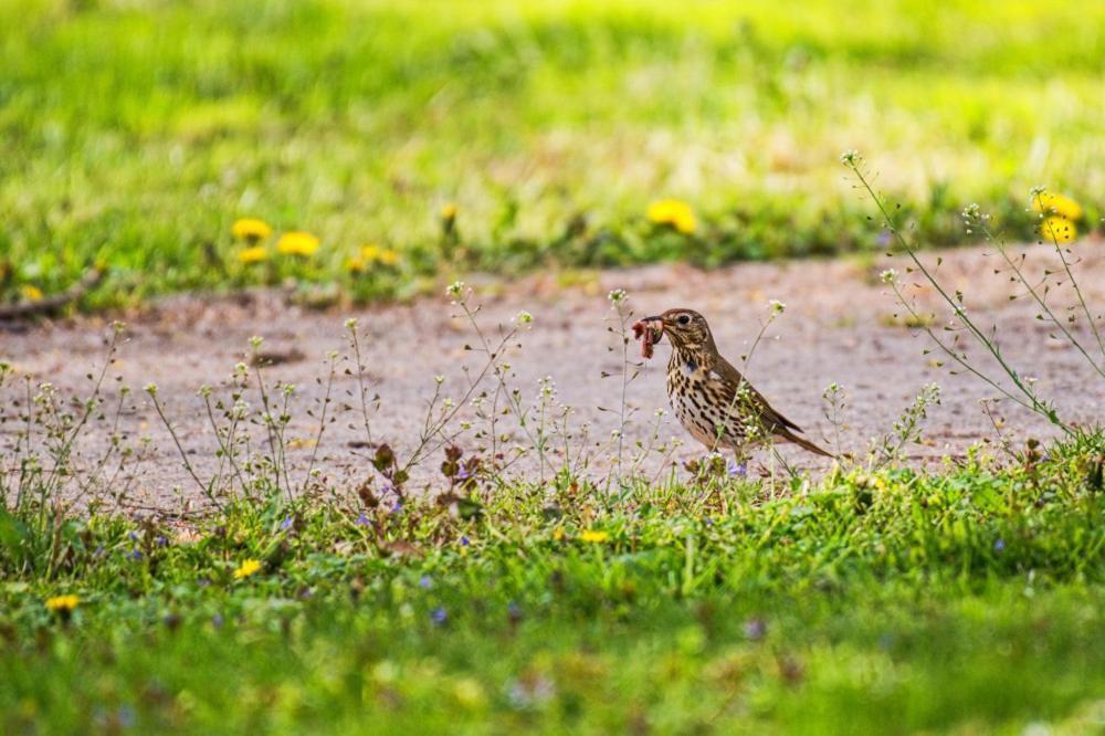 Prázdninové byty u kamaráta Habovka Exterior foto