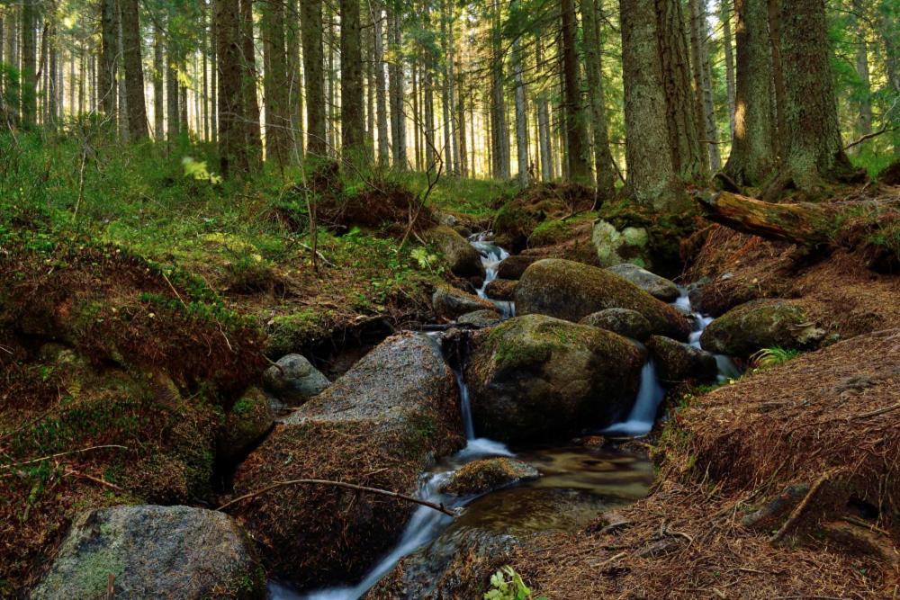 Prázdninové byty u kamaráta Habovka Exterior foto