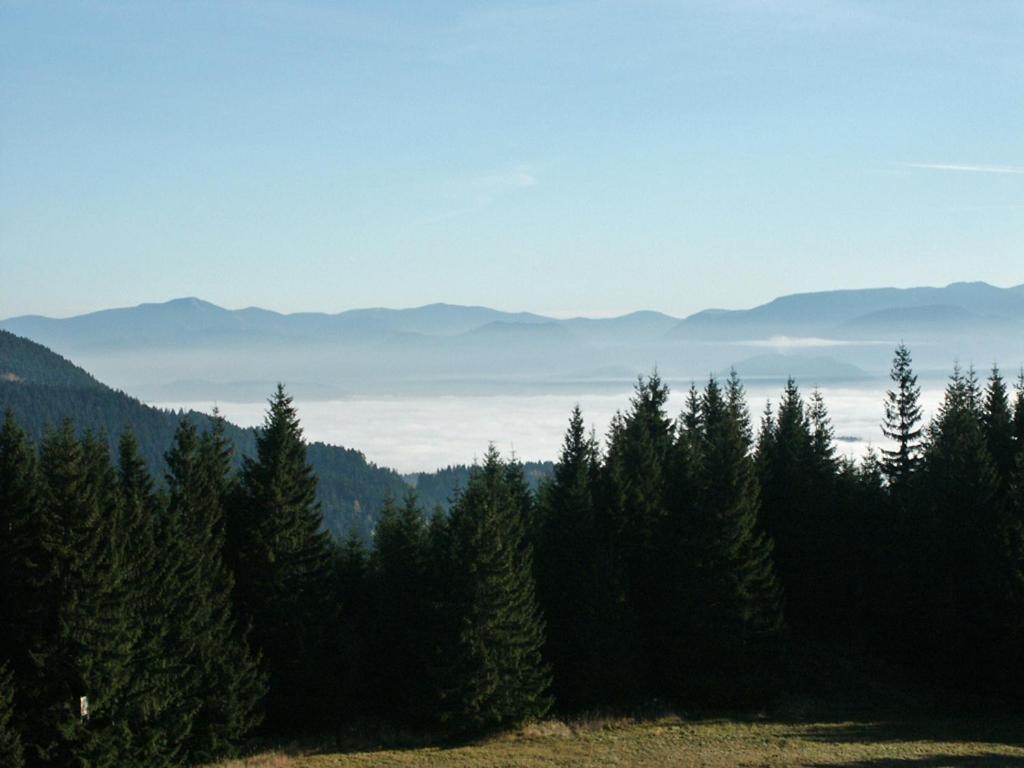 Prázdninové byty u kamaráta Habovka Exterior foto