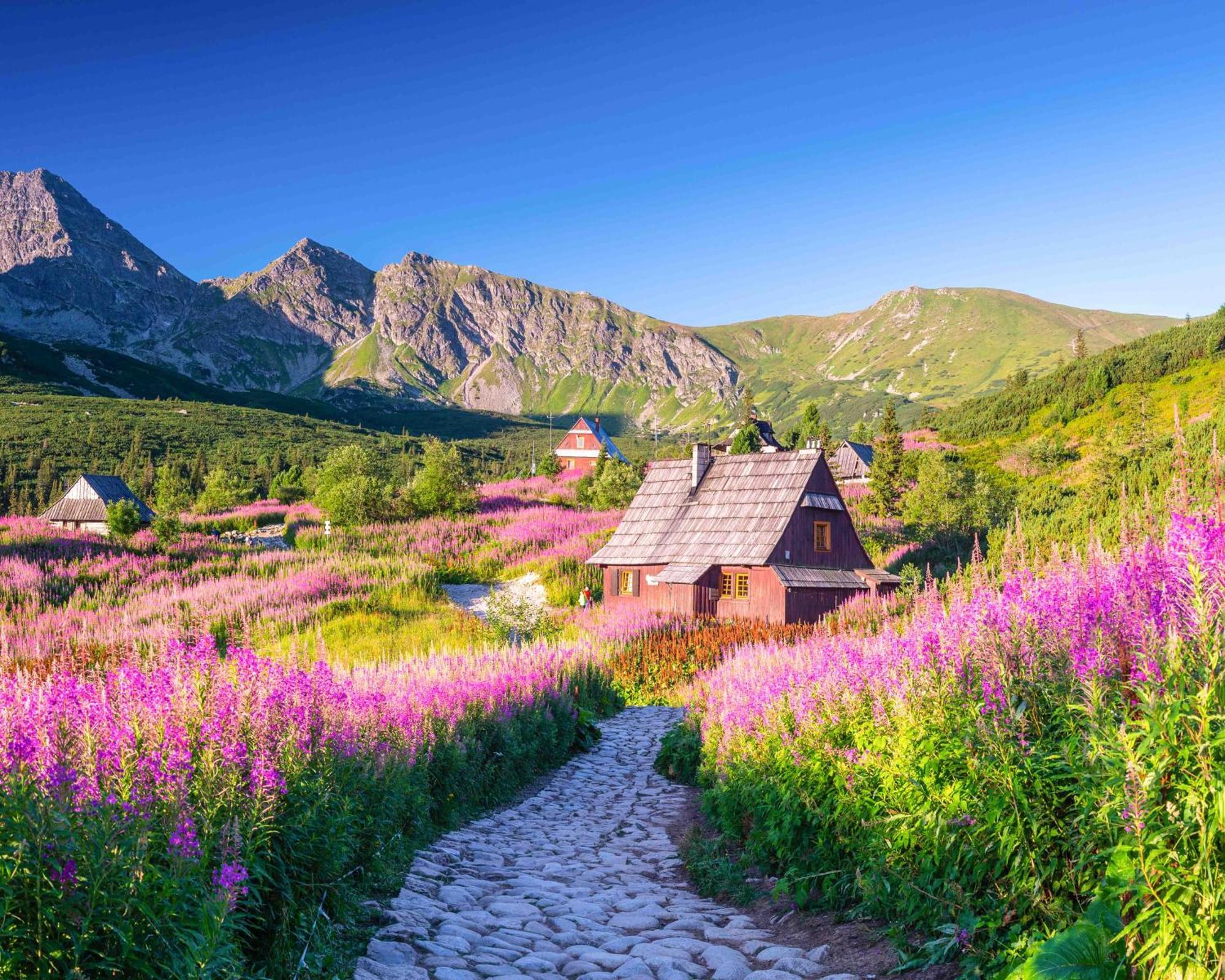 Prázdninové byty u kamaráta Habovka Exterior foto